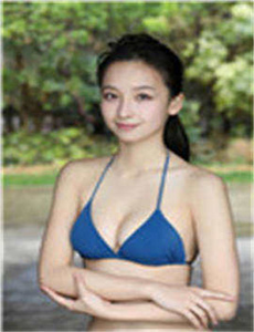 圣诞节的12只小狗