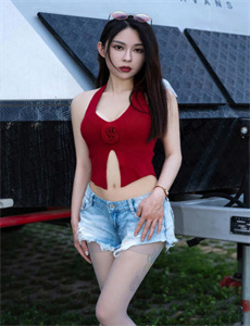 亲爱的柠檬精先生 第二季